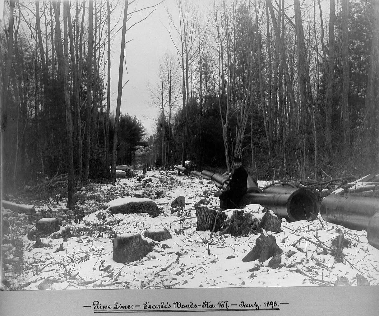Man sitting on pipe in woods